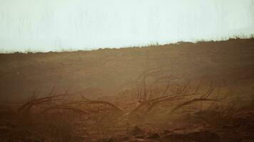 orage de poussière et le sable dans désert photo