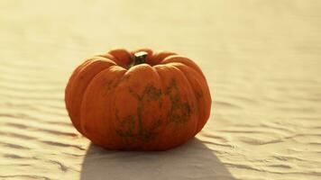 Halloween citrouille sur le plage dunes photo