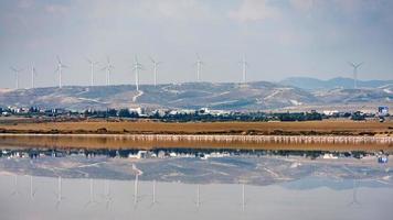 lac salé de larnaca avec moulins à vent en arrière-plan, chypre. photo