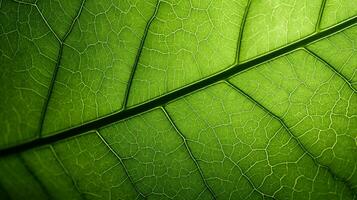 ai généré magnifique macro image de vert feuille, feuille texture arrière-plan, génératif ai photo