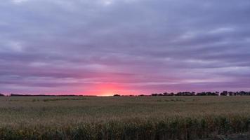 beau coucher de soleil sur le terrain. blagoveshenskaya, russie. photo