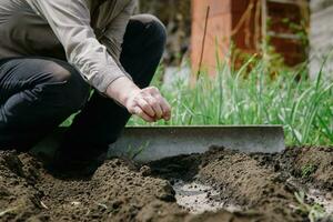 un personnes âgées homme plantation des graines dans le jardin photo