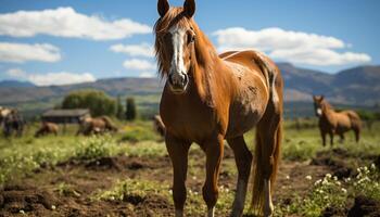 ai généré mignonne agneau pâturage dans vert Prairie sur une ferme généré par ai photo