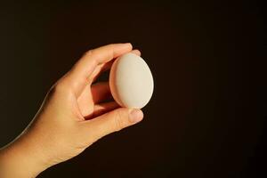 blanc poulet Oeuf dans une femme main. photo