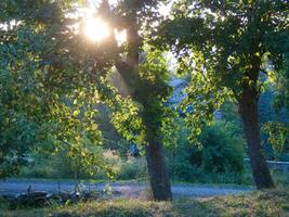 Loire dans France photo