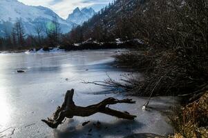 congelé Lac avec mort bois dans le français Alpes photo