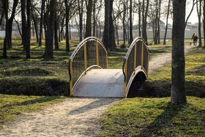 le fer pont plus de une fossé dans parc. le arqué pont. photo