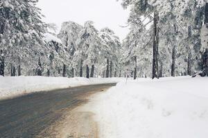 hiver route et neige avec paysage de des arbres avec gel photo