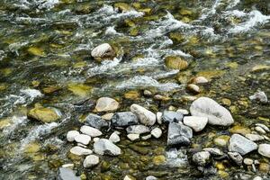 une rivière avec rochers et l'eau écoulement par il photo