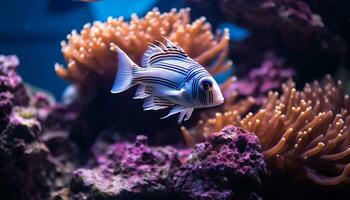ai généré vibrant pitre poisson nager au dessous de le coloré corail récif généré par ai photo