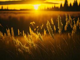 ai généré embrasé des champs de hiver doux concentrer le coucher du soleil Prairie avec Jaune fleurs la nature embrasser. une symphonie de couleurs chaud hiver le coucher du soleil Prairie avec abstrait doux concentrer la nature harmonie. photo