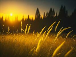 ai généré embrasé des champs de hiver doux concentrer le coucher du soleil Prairie avec Jaune fleurs la nature embrasser. une symphonie de couleurs chaud hiver le coucher du soleil Prairie avec abstrait doux concentrer la nature harmonie. photo