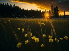 ai généré embrasé des champs de hiver doux concentrer le coucher du soleil Prairie avec Jaune fleurs la nature embrasser. une symphonie de couleurs chaud hiver le coucher du soleil Prairie avec abstrait doux concentrer la nature harmonie. photo