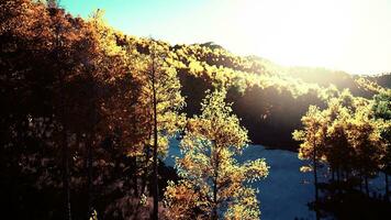 vallée avec des arbres d'automne parmi les montagnes éclairées par le soleil au coucher du soleil photo