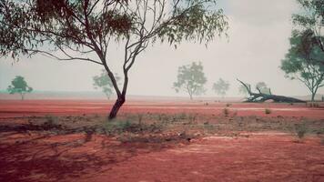 une scénique vue de une rural paysage avec des arbres dans une rouge saleté champ photo