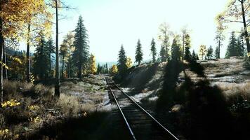 une train Piste Coupe par une pittoresque forêt à le coucher du soleil photo