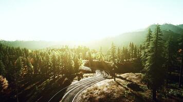 une serein et scénique route enroulement par une pittoresque forêt à le coucher du soleil photo