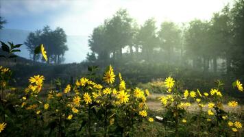 une vibrant champ de Jaune fleurs avec serein des arbres dans le Contexte photo