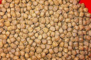 sec nourriture pour chats ou chiens. équilibré nutrition pour animaux domestiques, animaux dans le forme de sec nourriture croquettes. photo