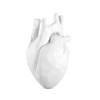 blanc abstrait Humain cœur avec facetté low-poly géométrie effet. 3d le rendu photo