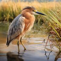 ai généré oiseau photo réalité