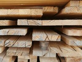 pile de bois dans le forêt photo