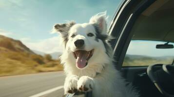 ai généré content chien ayant amusement avec tête en dehors de le voiture fenêtre photo