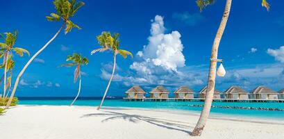 fantastique ensoleillé panorama à Maldives. luxe recours paysage marin. majestueux mer vagues noix de coco paume des arbres le sable ensoleillement ciel. beauté paradis plage populaire destination. meilleur été vacances Voyage Contexte photo