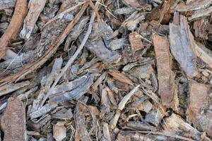 une pile de bois frites avec certains feuilles sur il photo