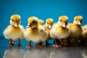 ai généré mignonne duveteux petit peu Jaune canards ai généré photo