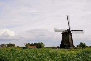 une Moulin à vent dans le milieu de une champ avec grand herbe photo