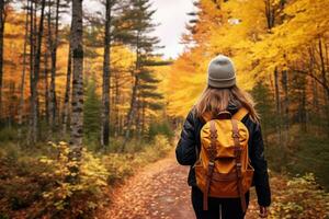 ai généré une fille avec une sac à dos des promenades le long de le Piste dans le l'automne forêt, l'automne la nature promeneur fille en marchant dans le nationale parc dans Québec avec une sac à dos, ai généré photo