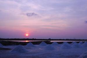 belle culture du sel au coucher du soleil photo