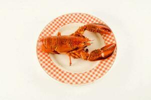 une Homard sur une assiette sur une blanc Contexte photo