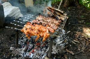 cuisine barbecue sur une Feu dans le forêt. photo