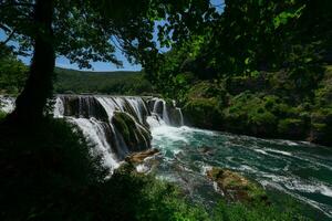 une cascade dans le milieu de une forêt photo