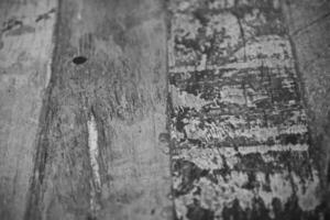 texture de fond bois photo