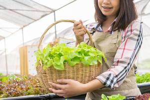 jeune agriculteur biologique de culture hydroponique asiatique ramassant une salade de légumes dans un panier avec une serre de pépinière. les modes de vie et les affaires des gens. concept de jardinier d'environnement d'agriculture et de culture d'intérieur