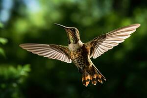 ai généré vert oiseau faune petit animaux en volant sauvage plume aviaire colibri vol bourdonnement photo