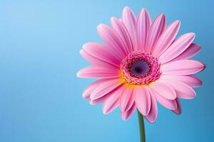 ai généré Contexte jardinage été floral macro fermer gerbera beauté flore les plantes fleur photo