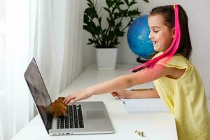 éduquer à maison. enfant fille faire devoirs avec animal de compagnie hamster. marrant gingembre hamster séance sur table où enfant est en écrivant. retour à école. photo