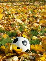 Football sur le herbe dans l'automne ai génératif photo