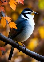 ai généré magnifique peu oiseau mésange séance dans un l'automne jardin sur le branche photo