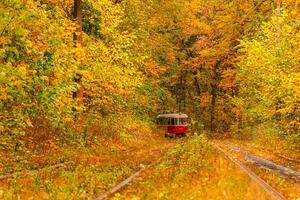 l'automne forêt par lequel un vieux tram monte Ukraine photo