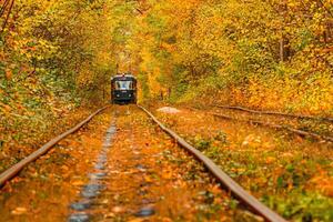 l'automne forêt par lequel un vieux tram monte Ukraine photo