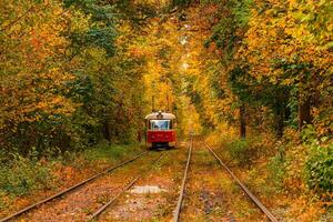 l'automne forêt par lequel un vieux tram monte Ukraine photo