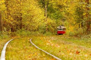 l'automne forêt par lequel un vieux tram monte Ukraine photo