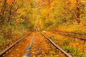 l'automne forêt par lequel un vieux tram monte Ukraine photo