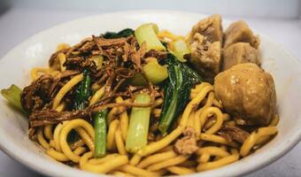 poulet nouille boulette de viande ou mie ayam bakso. un de le plus populaire nouille vaisselle dans Indonésie photo