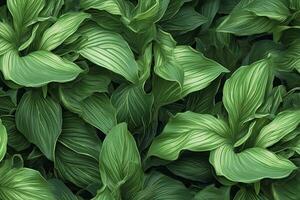 ai généré une plante avec beaucoup de grand vert feuilles. ai généré photo